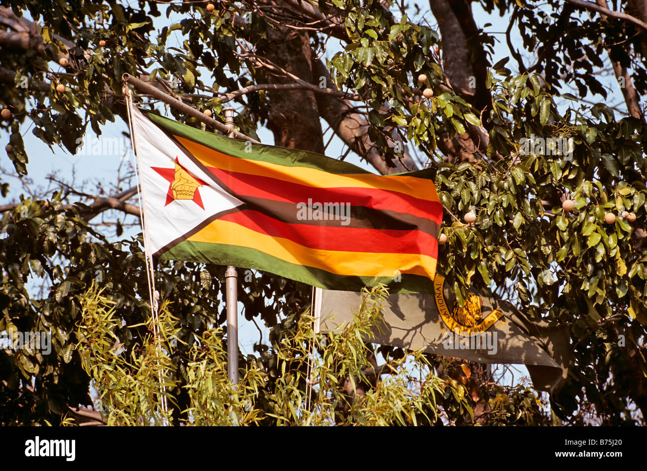 Flagg nazionale dello Zimbabwe Africa soffia Foto Stock