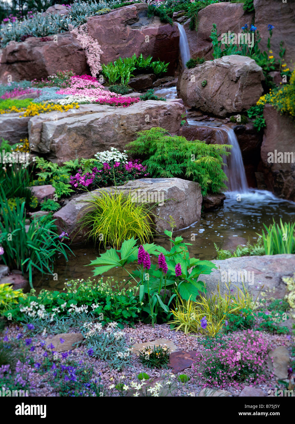 Alpine colorati piantati rockery e cascata Foto Stock