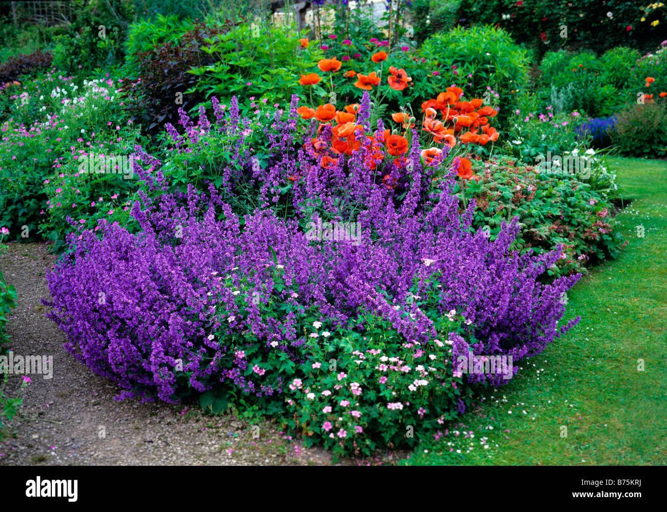 Una colorata estate fiore frontiera presso Casa Abbey Gardens Foto Stock
