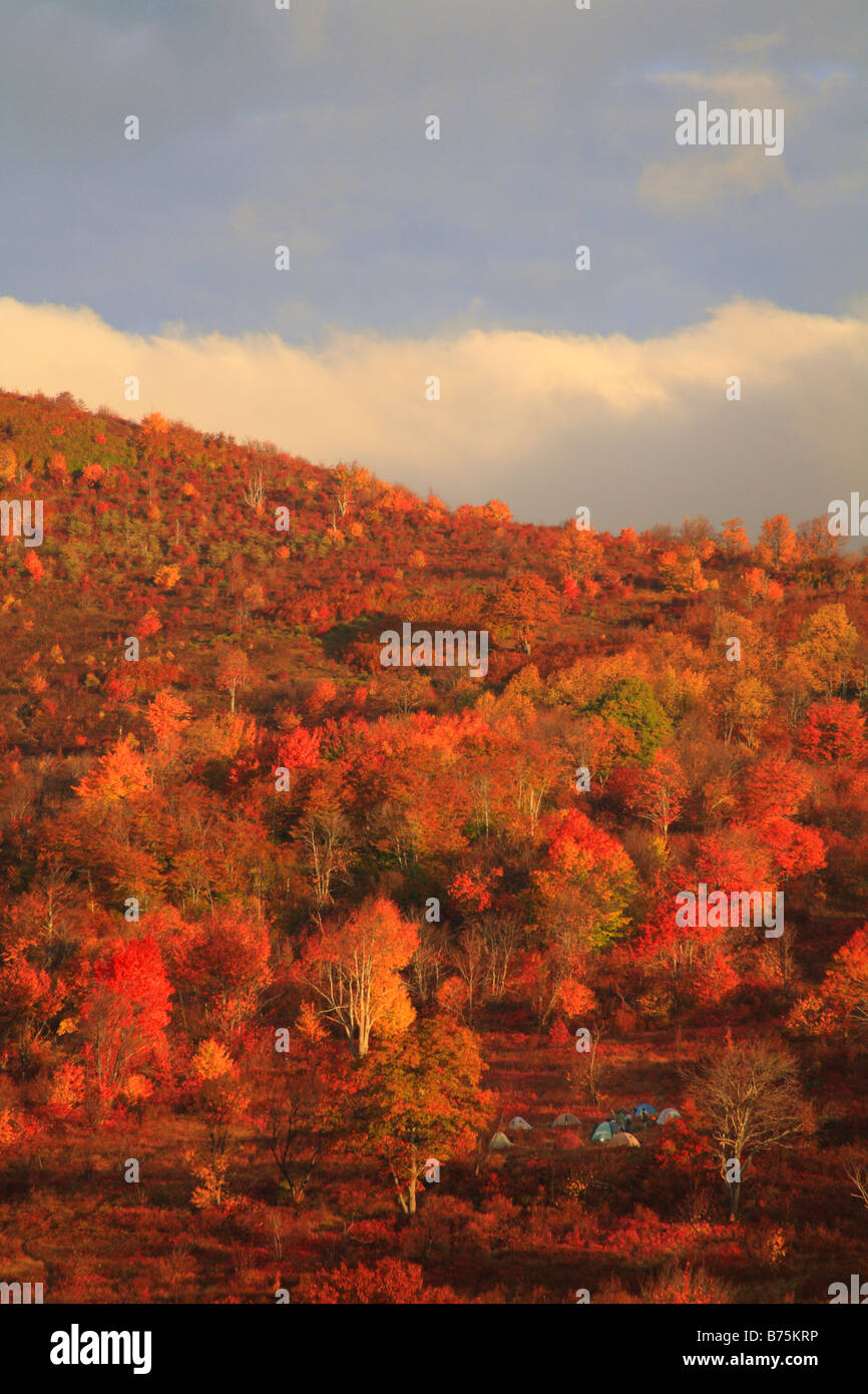 Campeggio a Sunrise, cimitero campi, Blue Ridge Parkway, North Carolina, STATI UNITI D'AMERICA Foto Stock