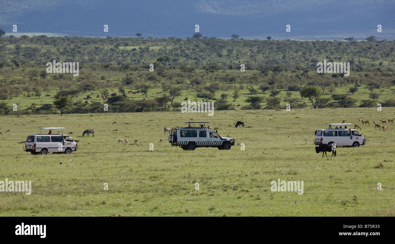 Massai Mara è una delle più grandi riserve di caccia in kenya confina Serengeti National Park Tanzania quasi tutte le specie di fauna selvatica può essere osservato il parco è molto popolare amongs i turisti di tutto il mondo Foto Stock