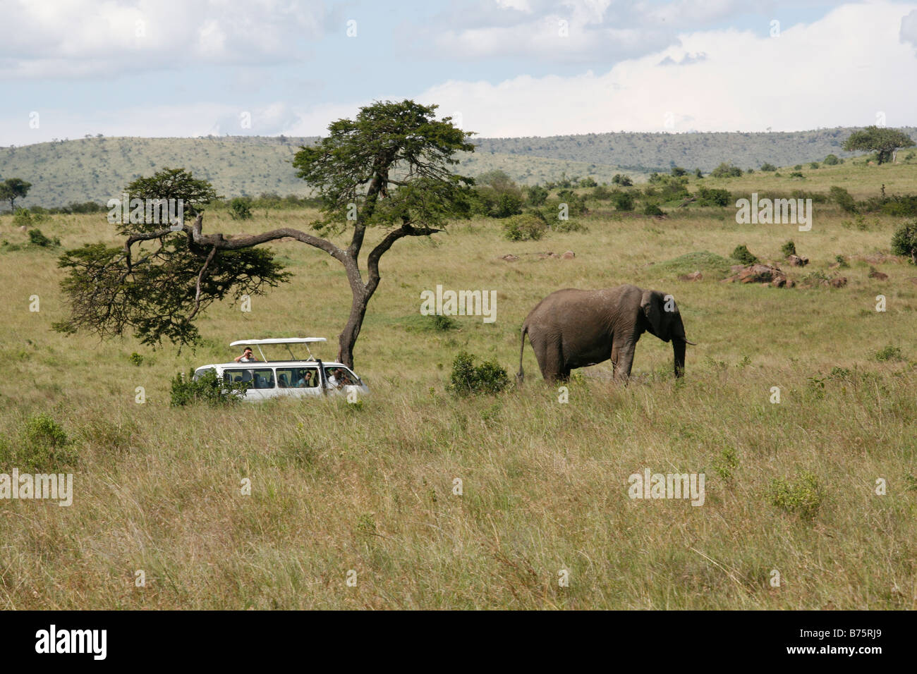 Kenya Massai Foto Stock