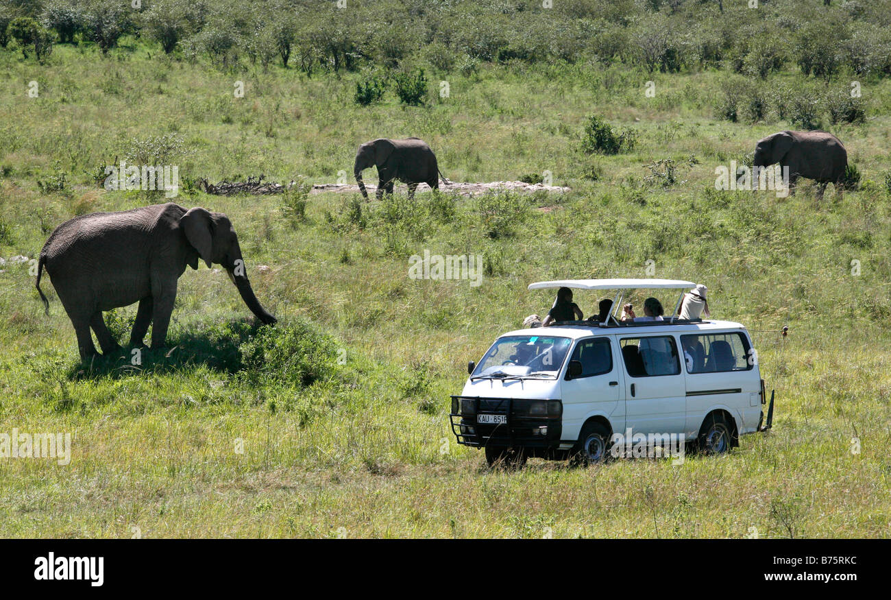 Kenya Massai Foto Stock