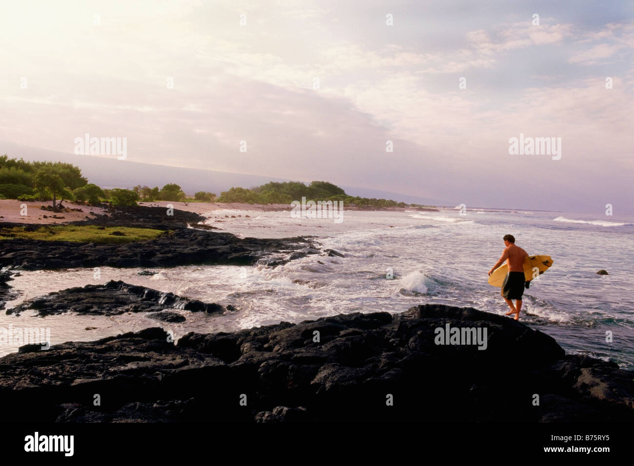 Uomo che porta le tavole da surf sulla costa, Hawaii, STATI UNITI D'AMERICA Foto Stock