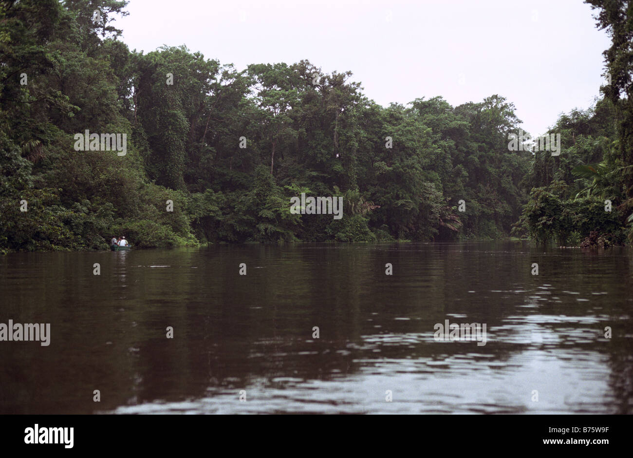 Canal vicino a Tortuguero, Costa Rica, a poco nuvoloso Nuvoloso Giorno Foto Stock