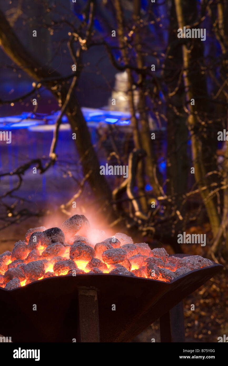 Bacino antincendio in Forrest Foto Stock