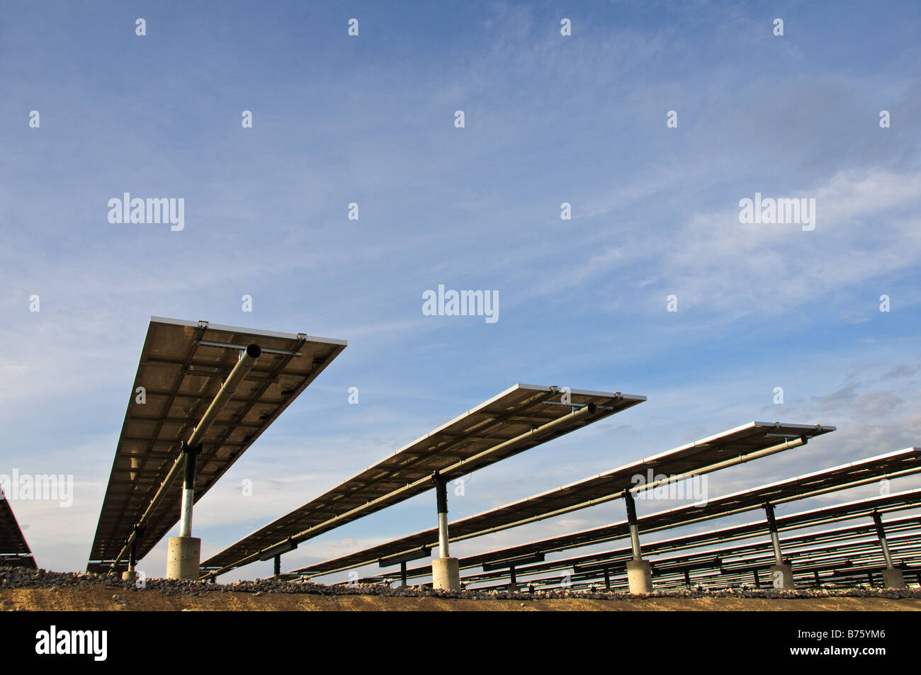 Fattoria solare in den Airport Foto Stock