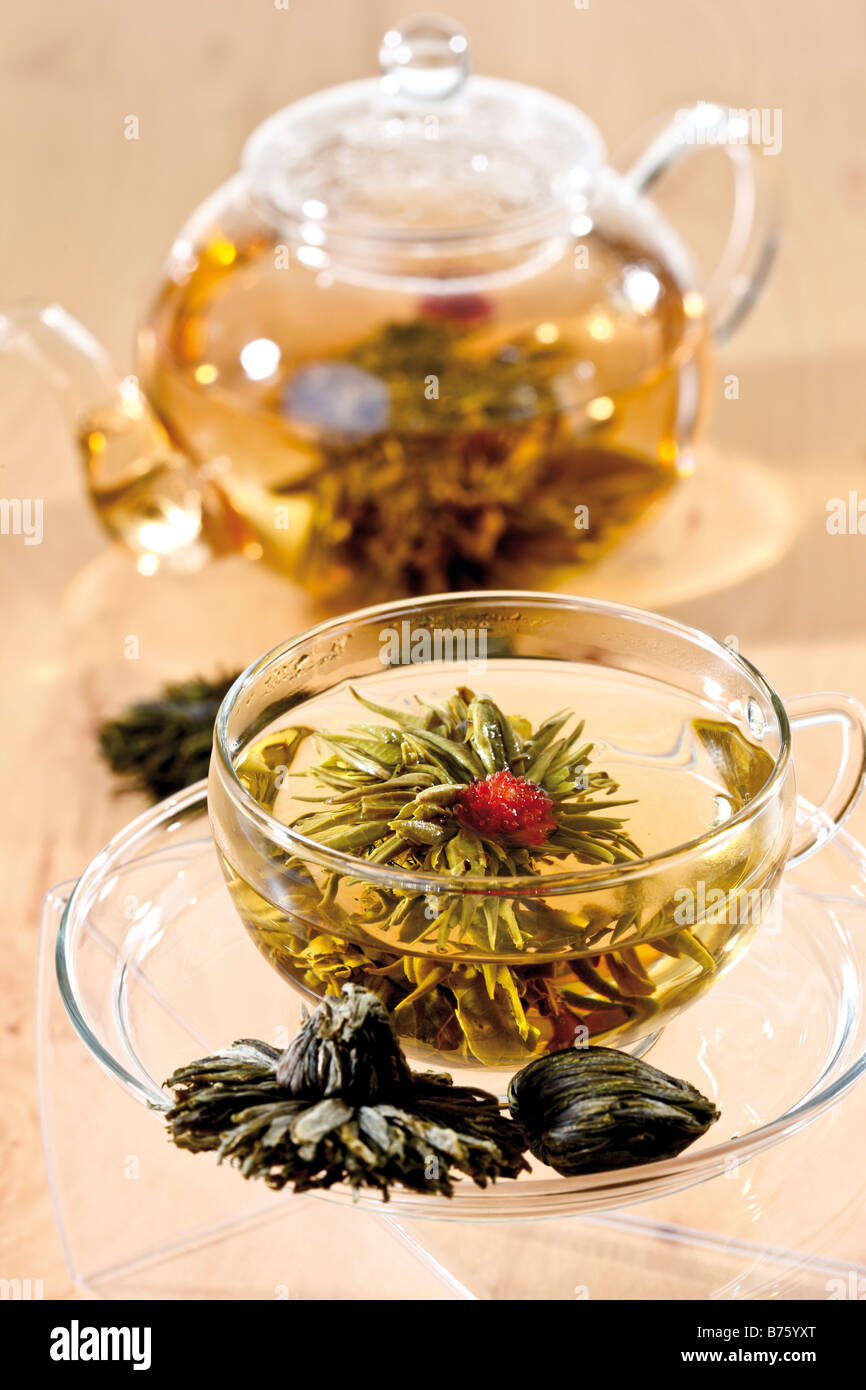 Fiore di tè tè in vetro e nella teiera, close-up Foto Stock