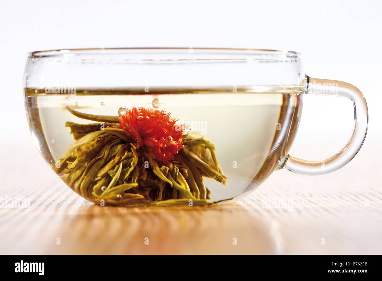 Fiore di tè tè in vetro, close-up Foto Stock
