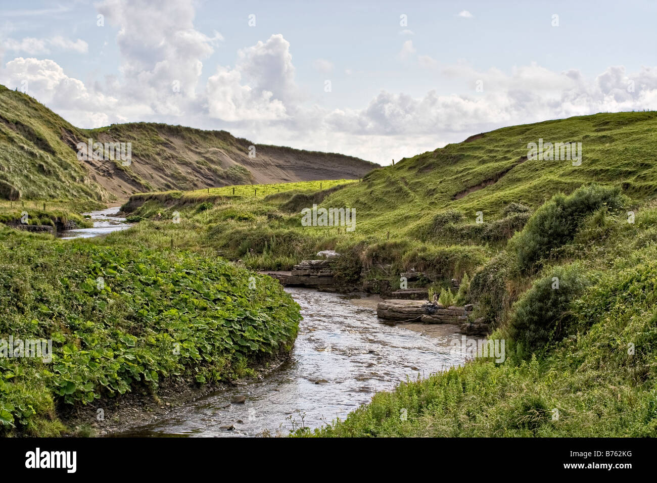 Un flusso in colline di Irlanda Foto Stock