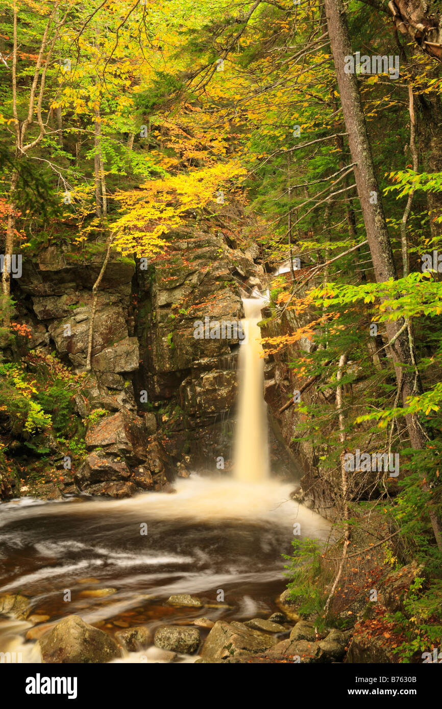Kinsmans cade, la cascata di Brook, accanto Cascades-Basin Trail, Appalachain Trail, Lincoln, New Hampshire, STATI UNITI D'AMERICA Foto Stock