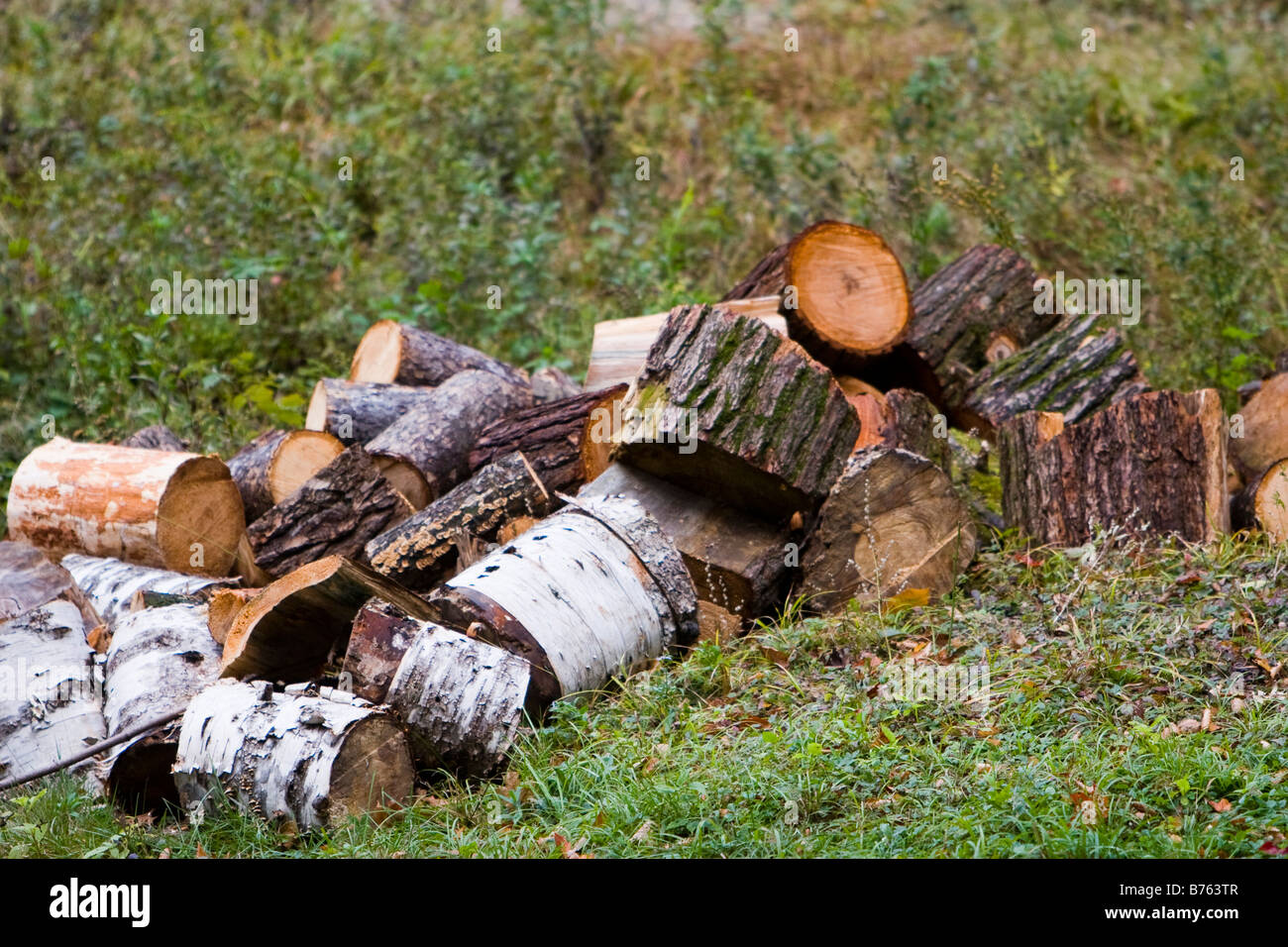 Il taglio di legna da ardere in Vermont Ottobre 2008 Foto Stock