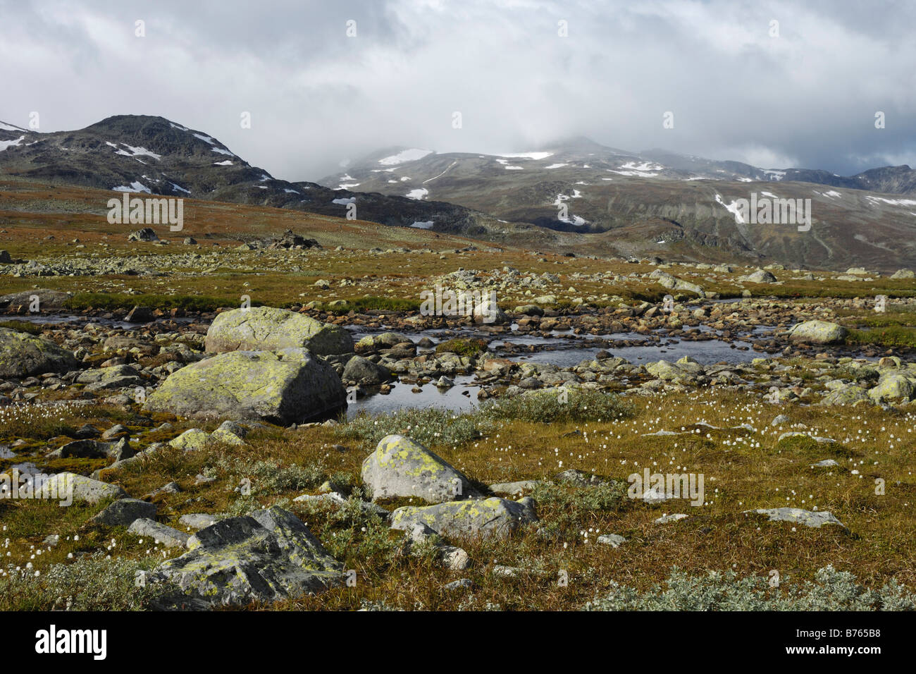 Leirungsdalen mountain range scenario lago Norvegia nord europa paesaggio Foto Stock