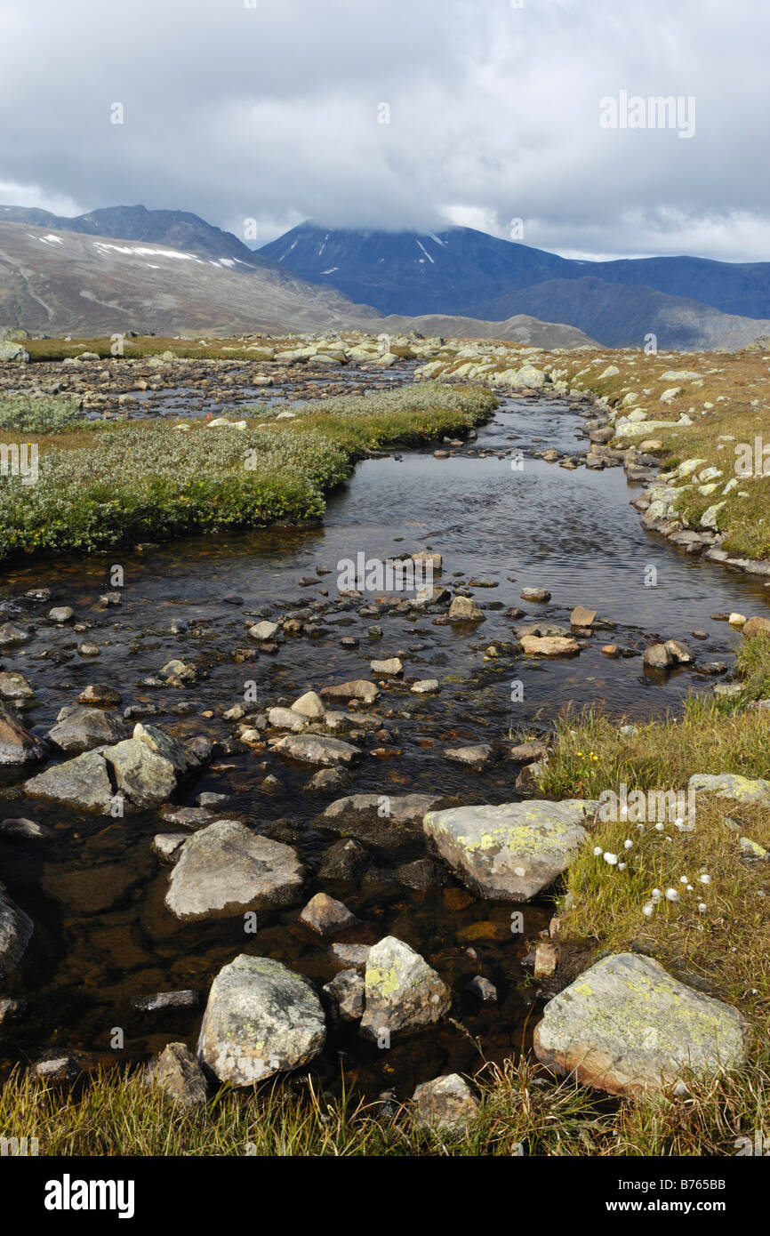 Paesaggio di montagna grimsdalen Oppland Norvegia nord europa paesaggio Foto Stock