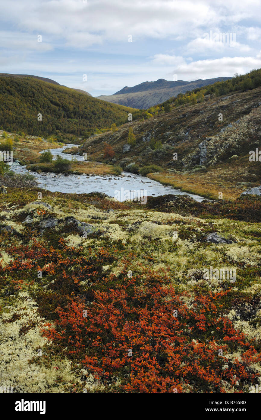 Paesaggio di montagna fiume grimsdalen Oppland Norvegia nord europa paesaggio Foto Stock