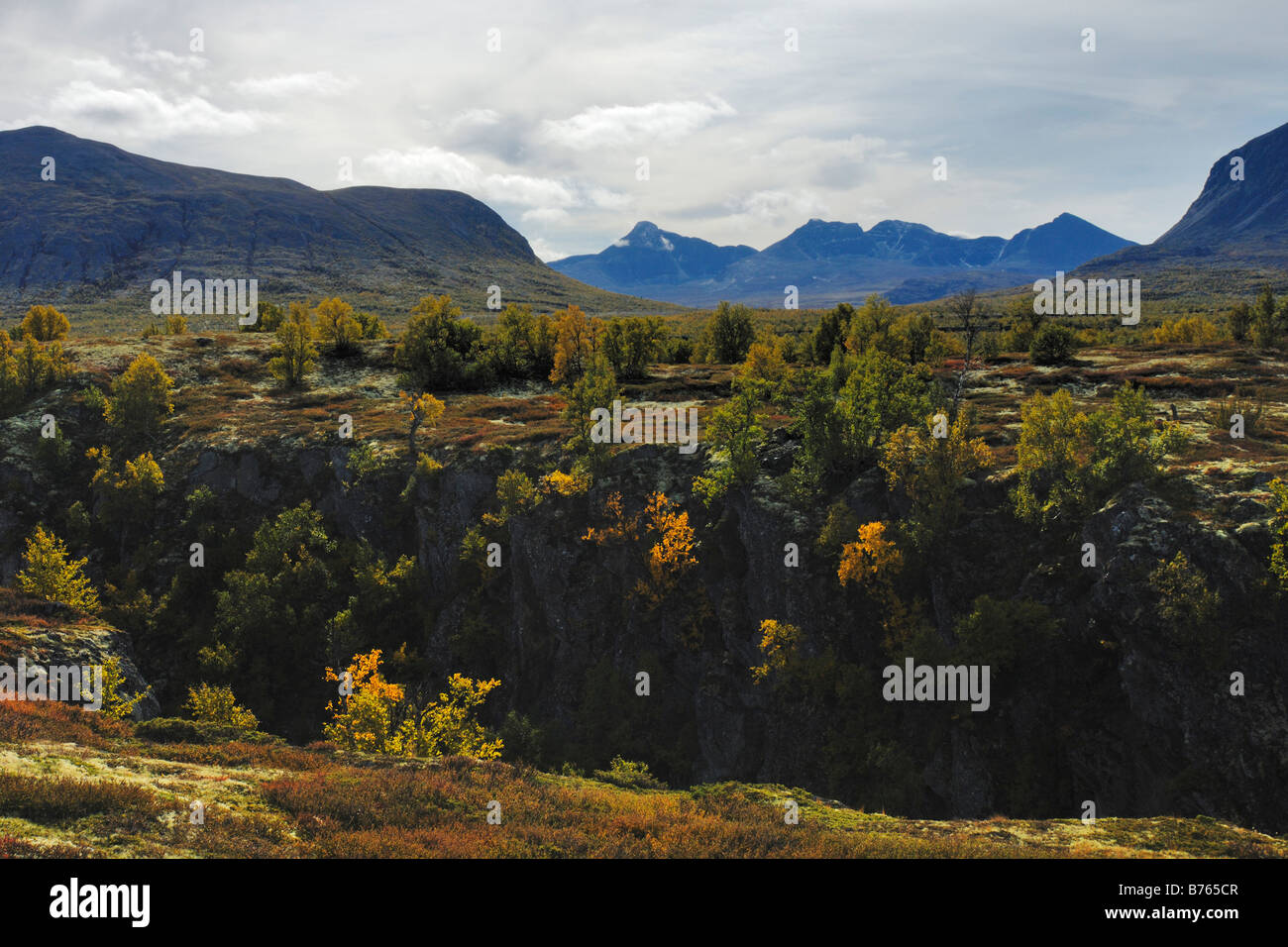 Scenario autunnale einunndalen grimsdalen Norvegia nord europa paesaggio paesaggio oppland colori autunnali Foto Stock