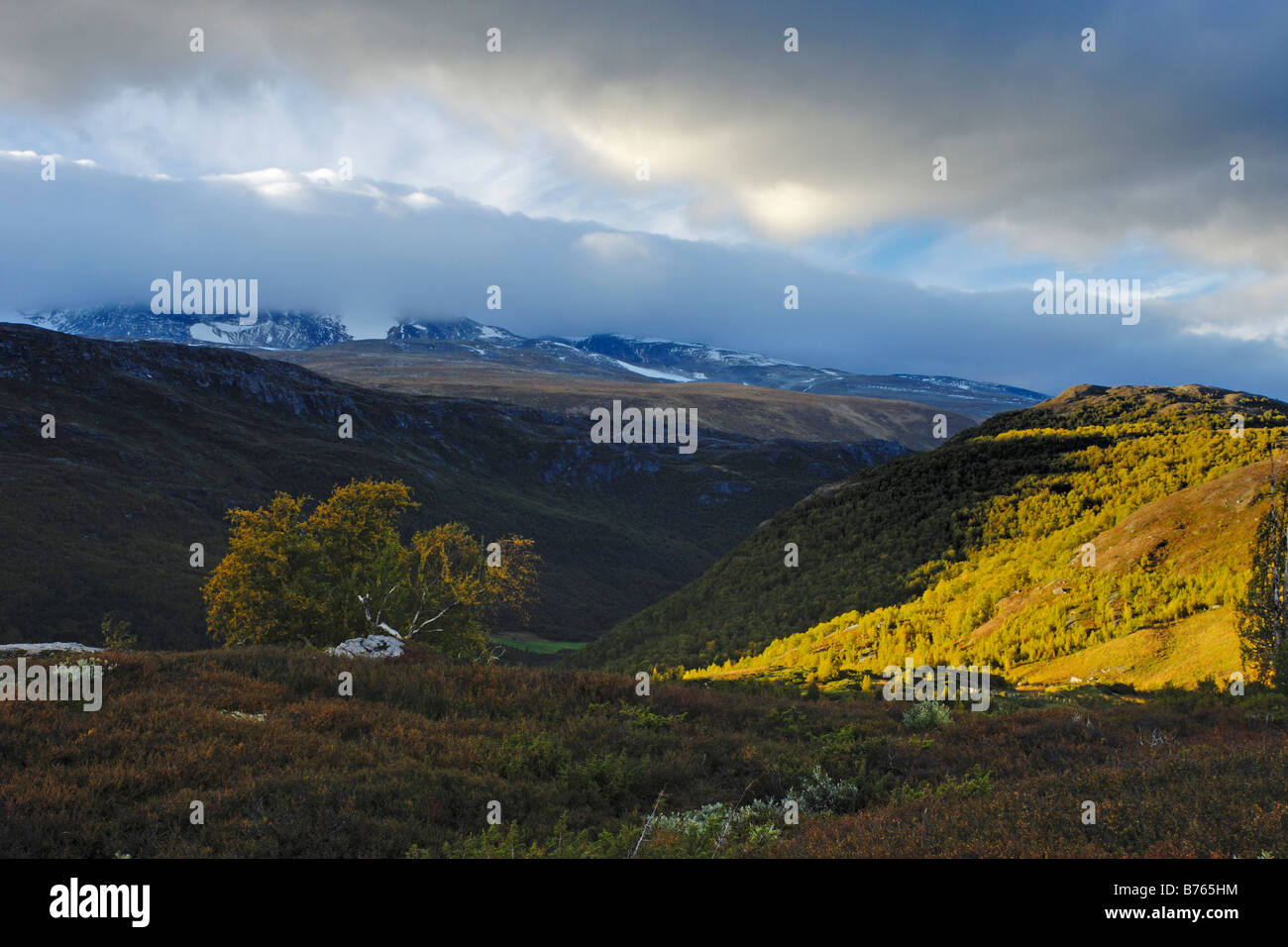 Pioggia nuvole furuhaugli scenari montuosi Oppland Norvegia nord europa autunno paesaggio paesaggio Foto Stock