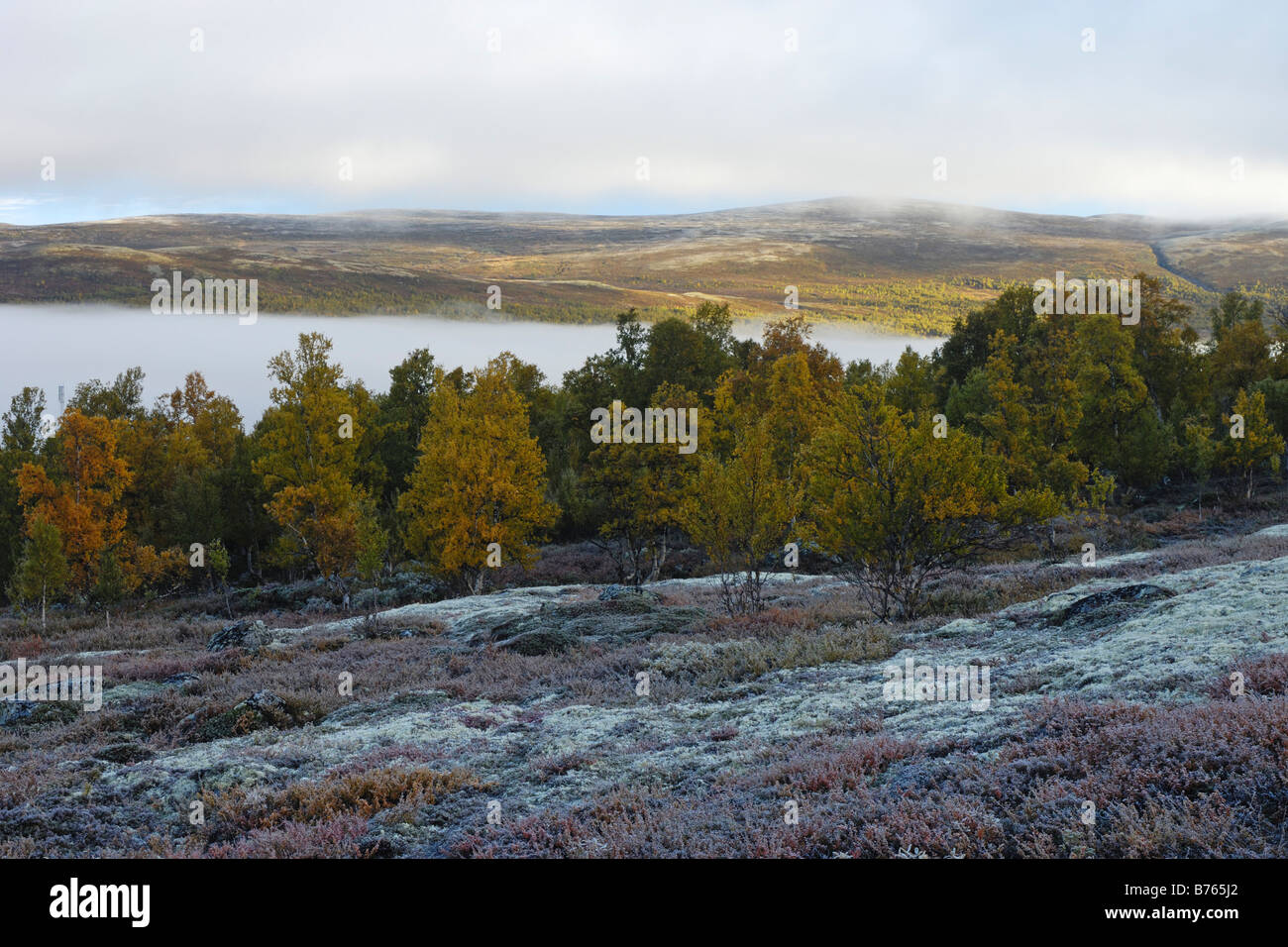 Montagna avsjoen nuvoloso alba mattina Oppland Norvegia nord europa autunno paesaggio paesaggio misty nebbia Foto Stock