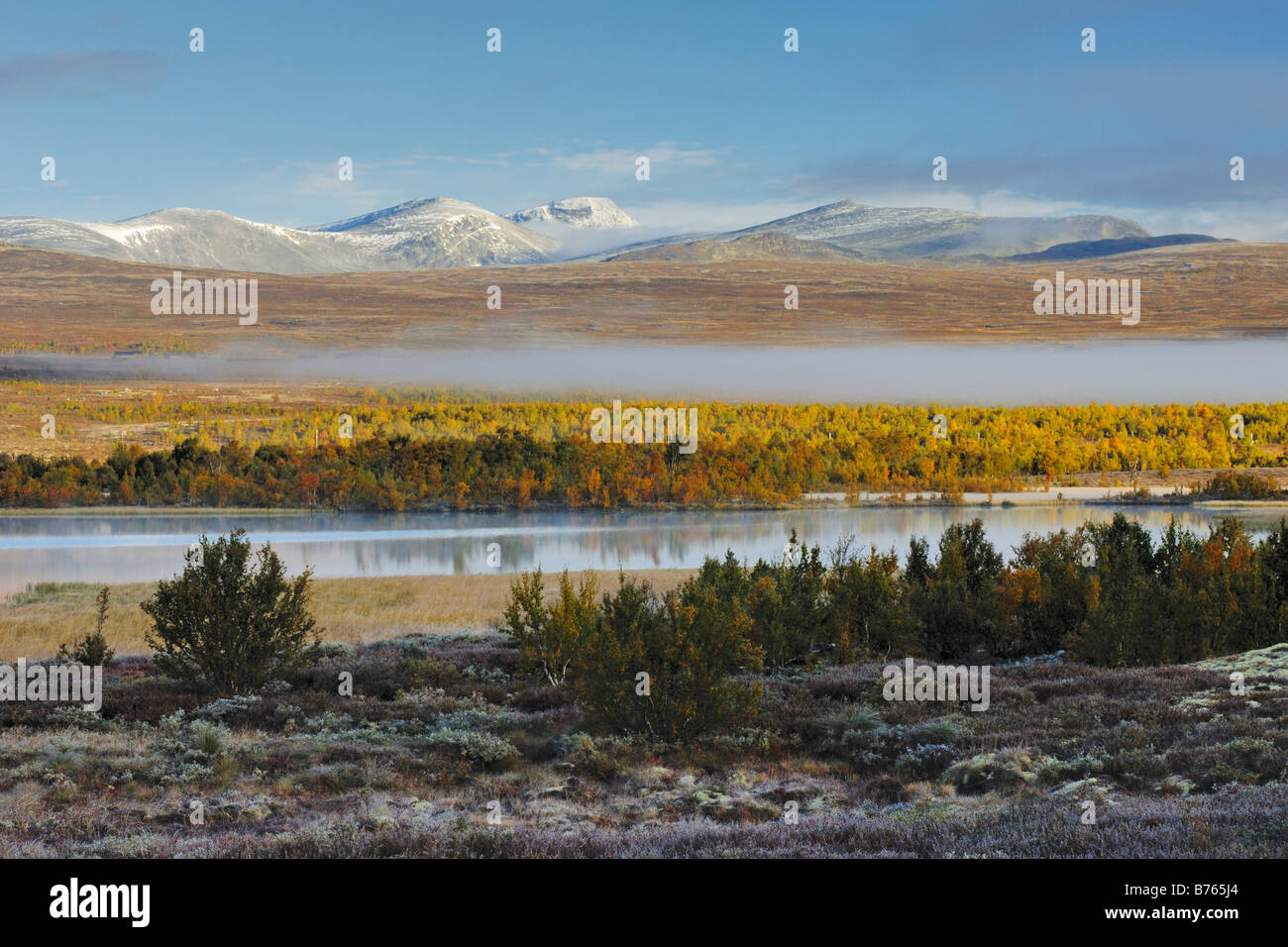 Montagna avsjoen nuvoloso alba mattina Oppland Norvegia nord europa autunno paesaggio paesaggio misty nebbia Foto Stock