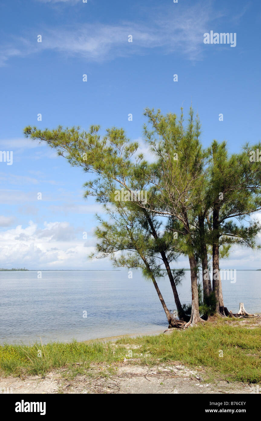 San Carlos Bay sulla costa del Golfo Intracoastal Waterway vicino a Sanibel Island Florida USA Foto Stock