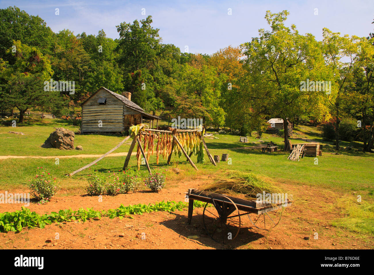 Lino raccolto ed essiccazione del tabacco, Humpback rocce cascina, Blue Ridge Parkway, Virginia, Stati Uniti d'America Foto Stock