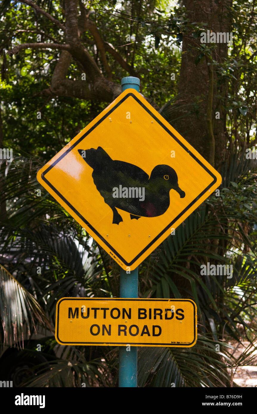 Carni di montone bird segno Isola di Lord Howe Australia Foto Stock