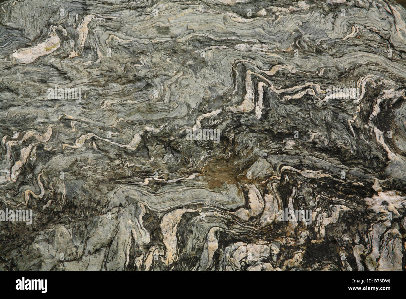 Close Up di roccia, piuttosto Marsh, Parco Nazionale di Acadia, Maine, Stati Uniti d'America Foto Stock