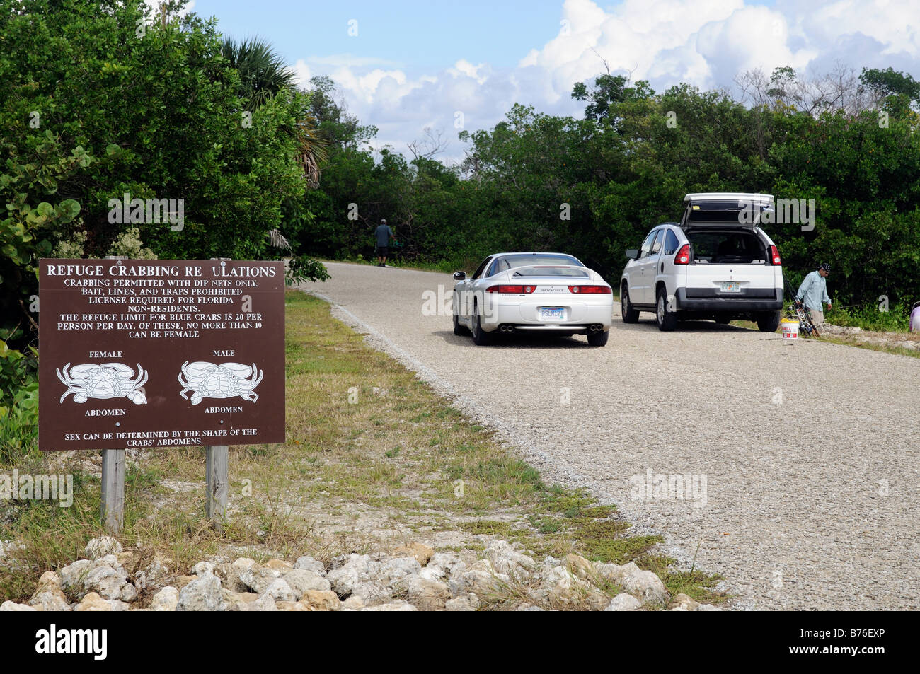 J N Ding Darling National Wildlife Refuge Sanibel Island florida usa Foto Stock