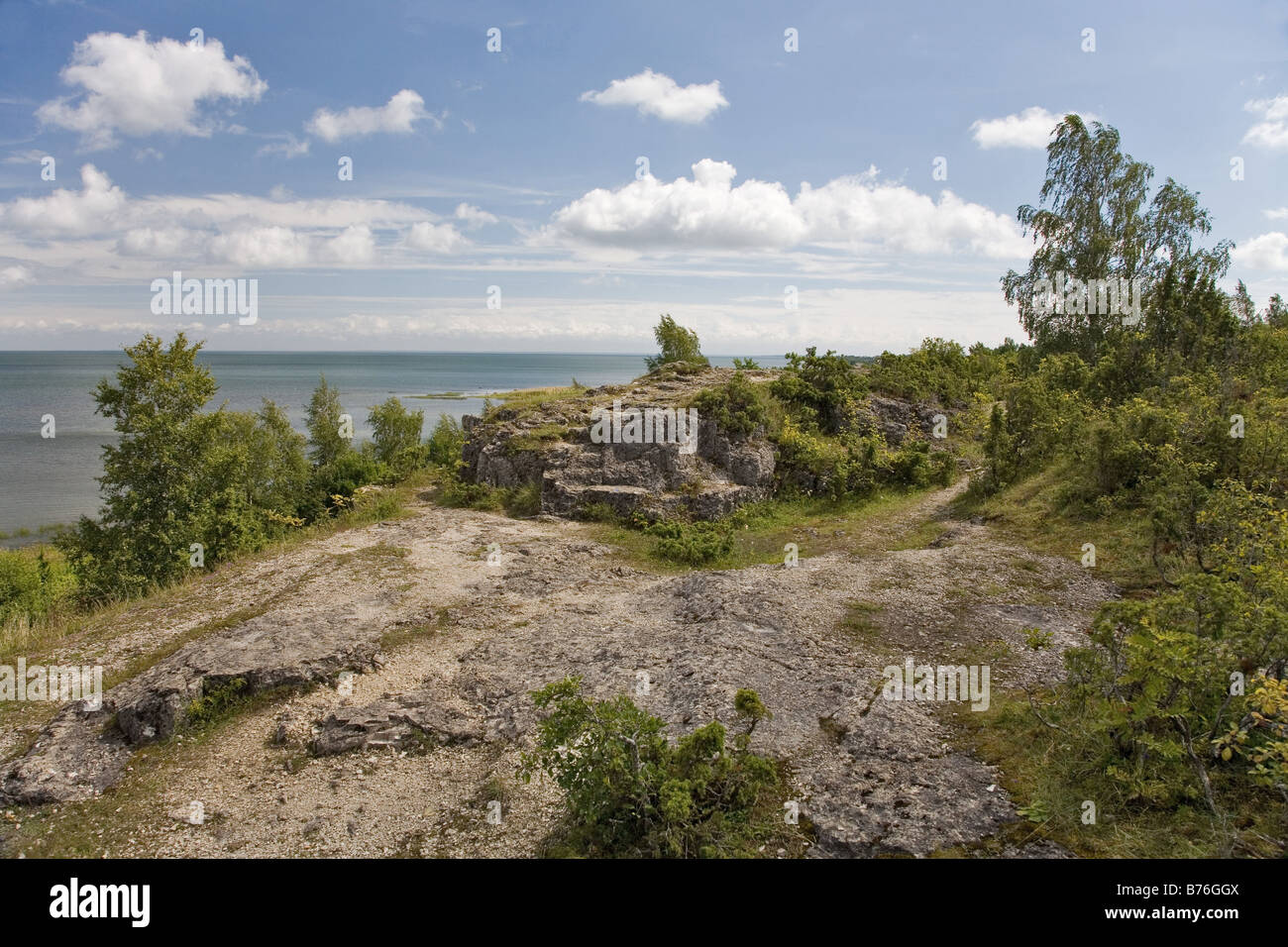 Vista dalla scogliera Üügu, Muhu Island, Saare County, Estonia, Europa Foto Stock
