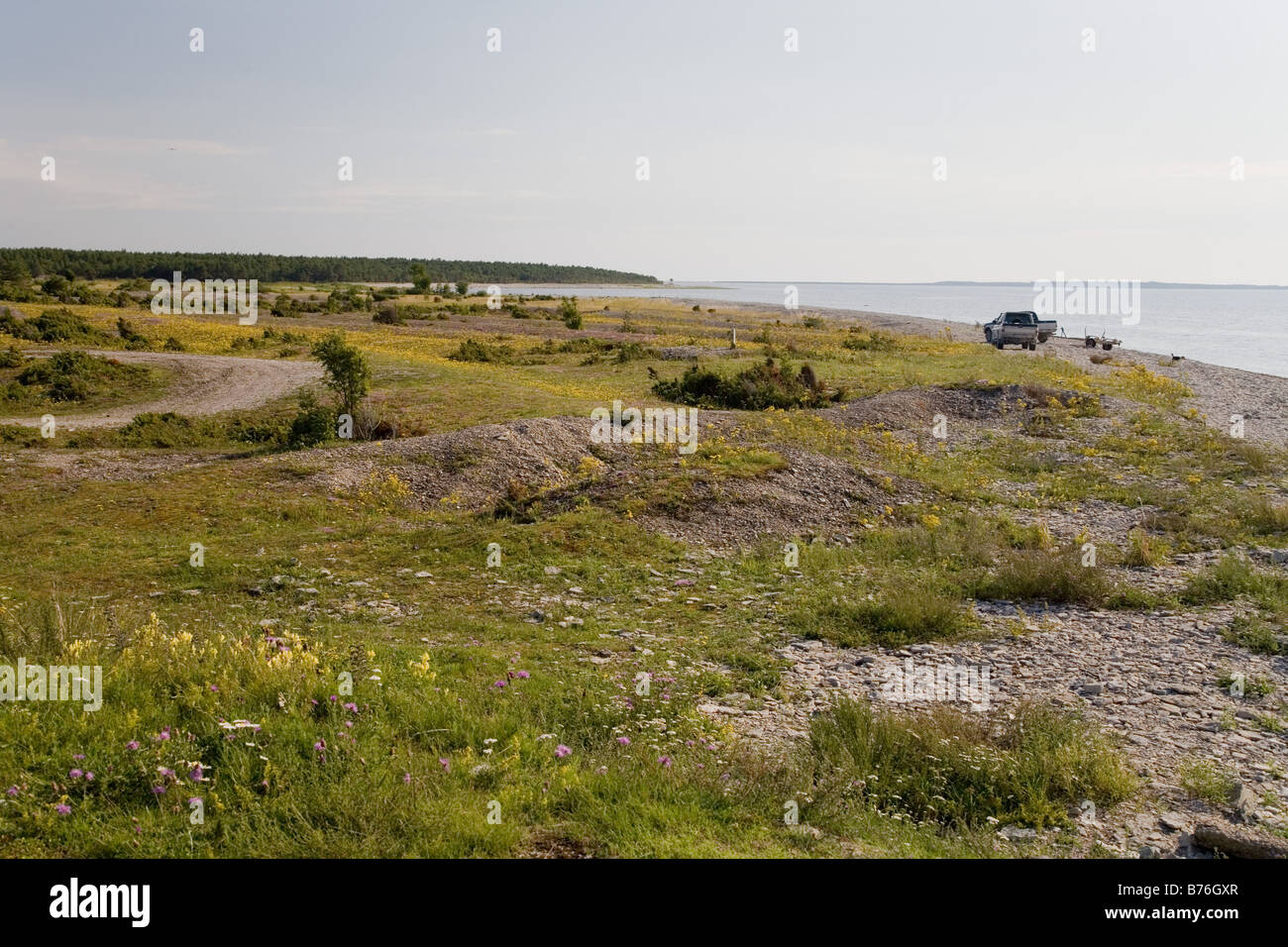 Costa Saare County Estonia Foto Stock