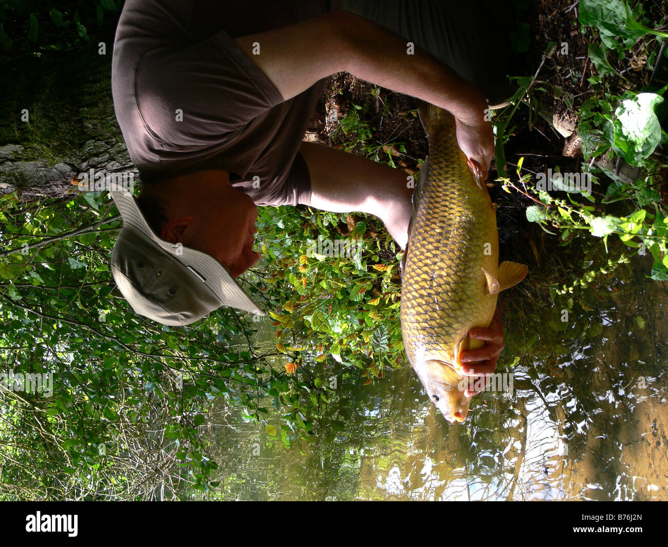 Il pescatore tornando carpa comune Cyprinus carpio nel sole mattutino Foto Stock