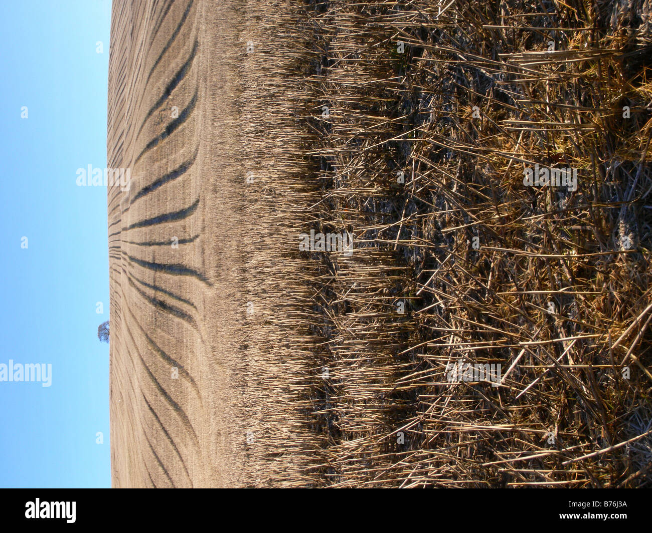 Campo di stoppia in inverno Foto Stock