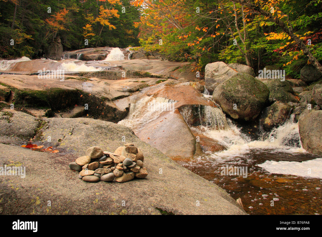 Kern e cascata sulla cascata Brook, accanto Cascades-Basin Trail, Appalachain Trail, Lincoln, New Hampshire, STATI UNITI D'AMERICA Foto Stock