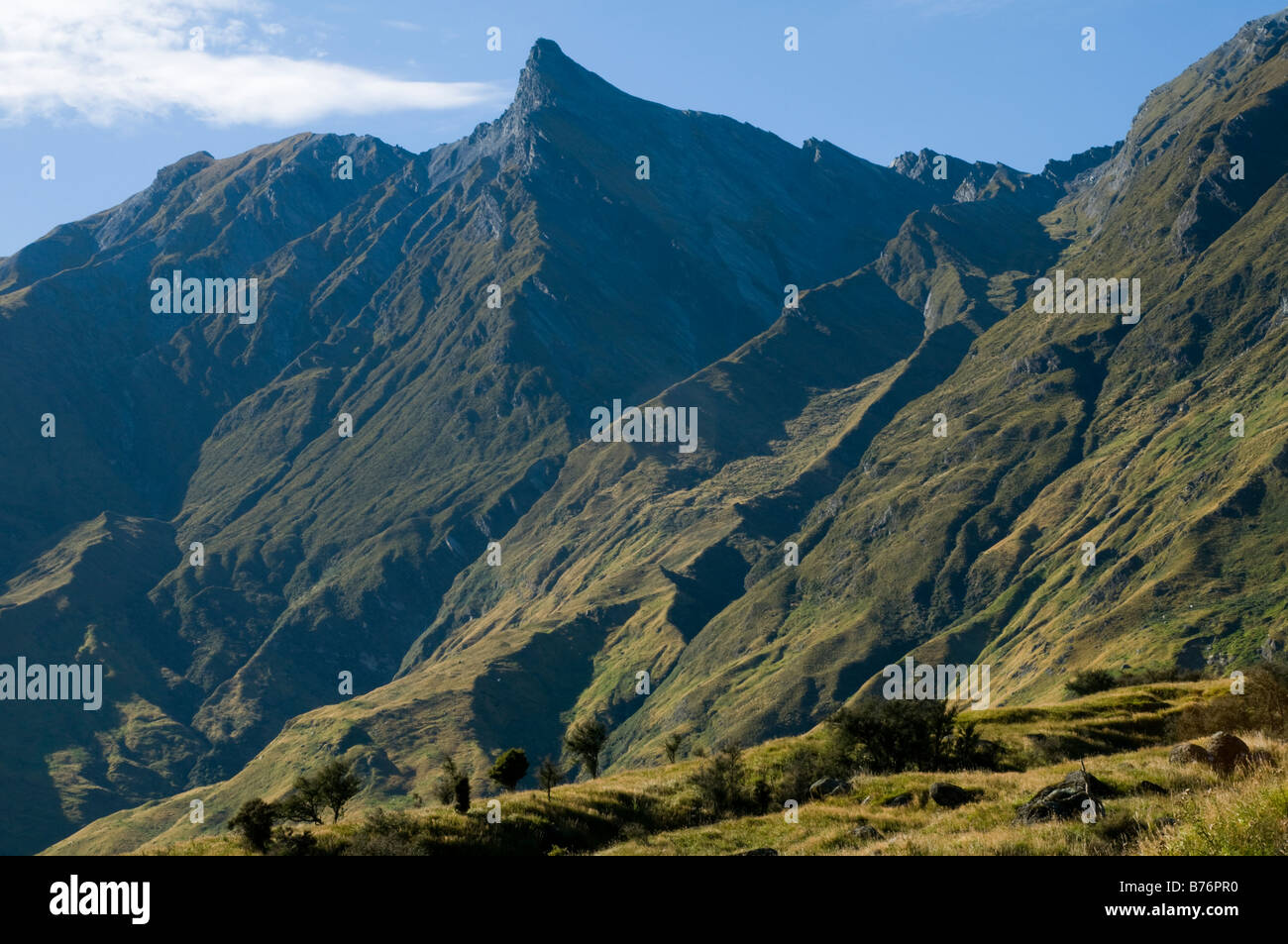 Gli squali di picco del dente dalla valle Matukituki, montare gli aspiranti il Parco Nazionale di South Island, in Nuova Zelanda Foto Stock