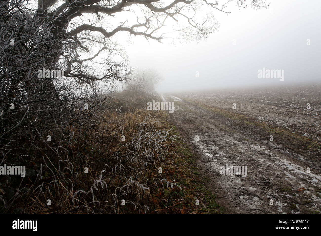 Il gelo e la nebbia di congelamento Shottisham Suffolk Inghilterra Gennaio 2009 Foto Stock