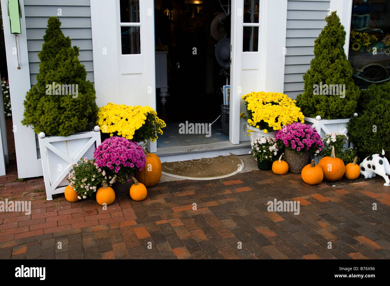 Zucche di Halloween e i crisantemi sulla porta di casa a Kennebunkport Maine ME Nuova Inghilterra Stati Uniti d'America Foto Stock