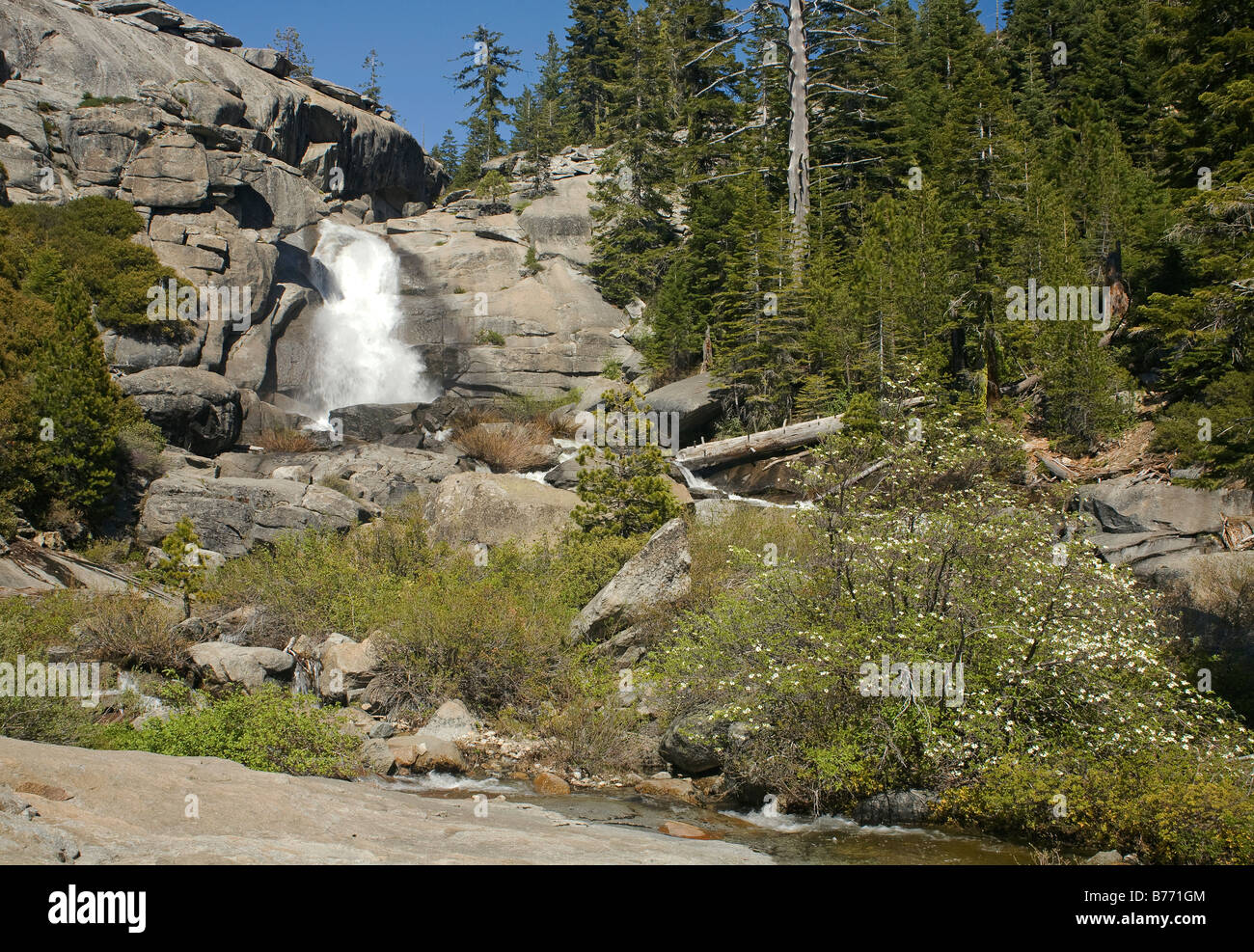 CALIFORNIA - Medio Chilnualna cade nella zona Wawona del Parco Nazionale di Yosemite. Foto Stock