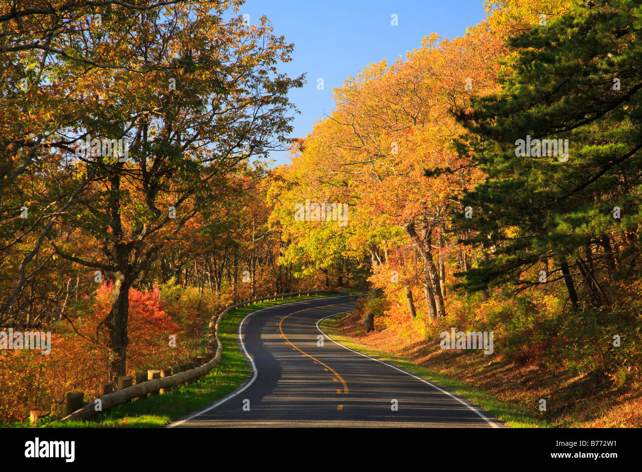 Skyline Drive, Rip Area Rap, Parco Nazionale di Shenandoah, Virginia, Stati Uniti d'America Foto Stock
