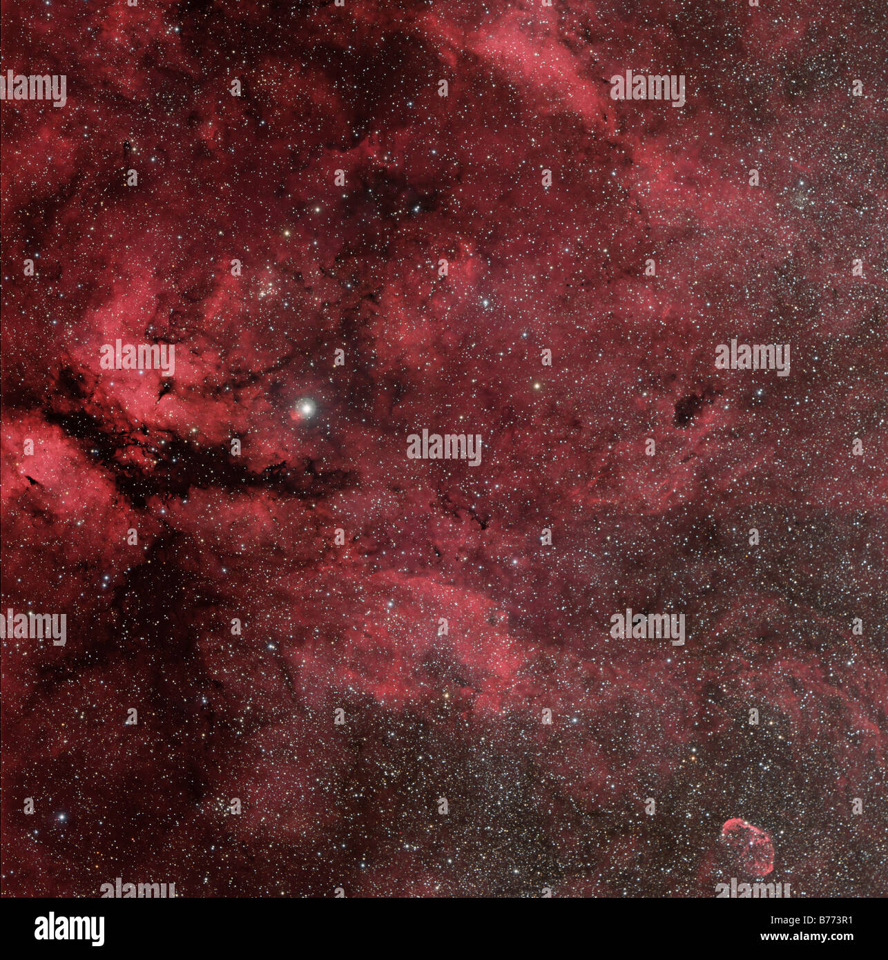 IC 1318, Gamma Cyg regione con Crescent Nebula. Foto Stock
