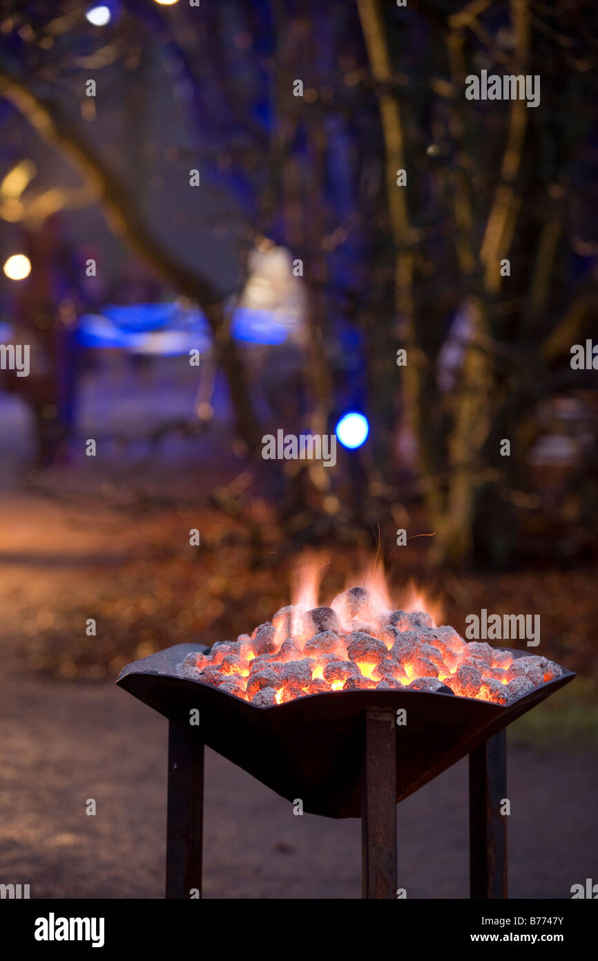 Bacino antincendio in Forrest Foto Stock