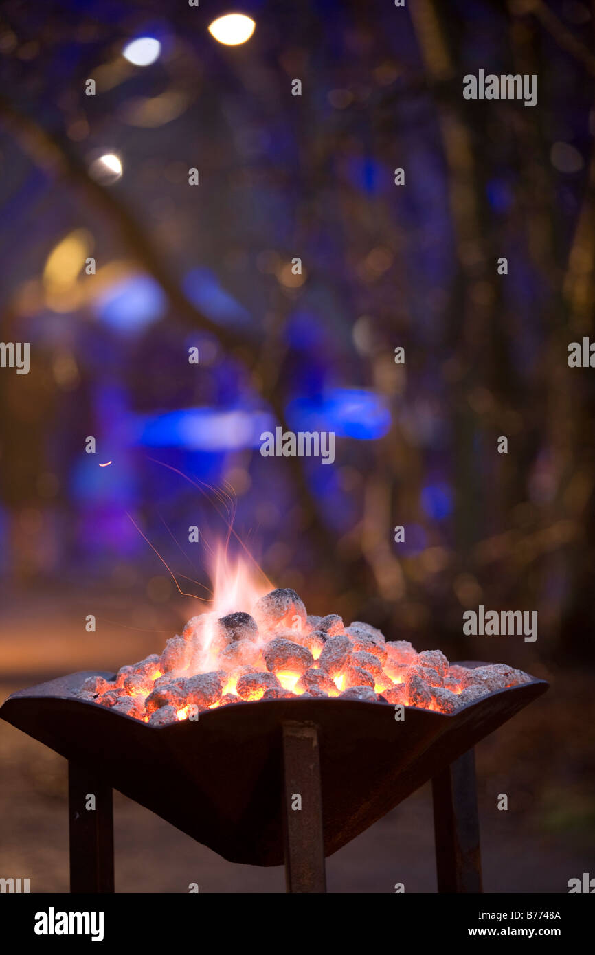 Bacino antincendio in Forrest Foto Stock