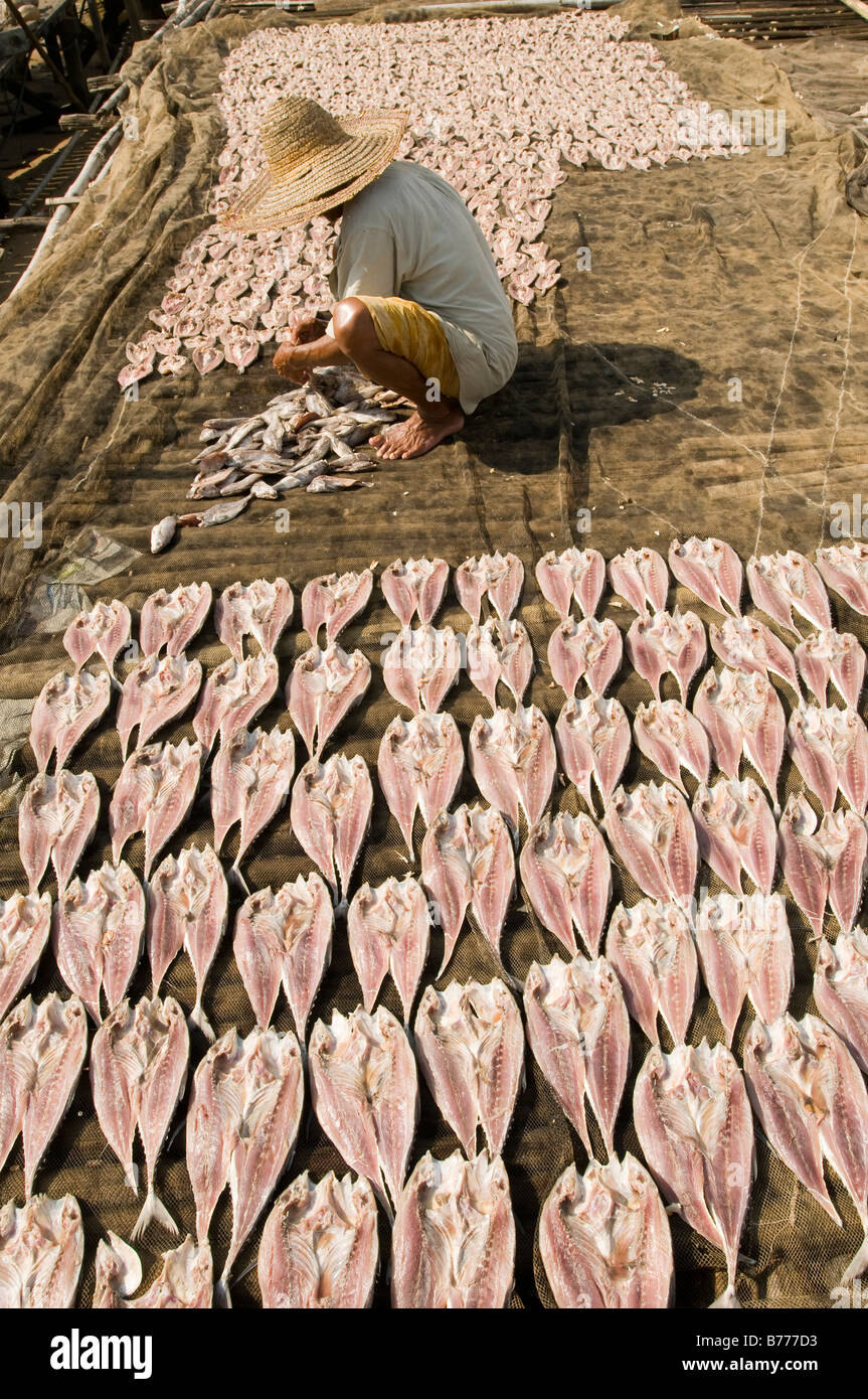 Tradizionale pesce salato piccola industria in Terengganu, Malaysia. Foto Stock