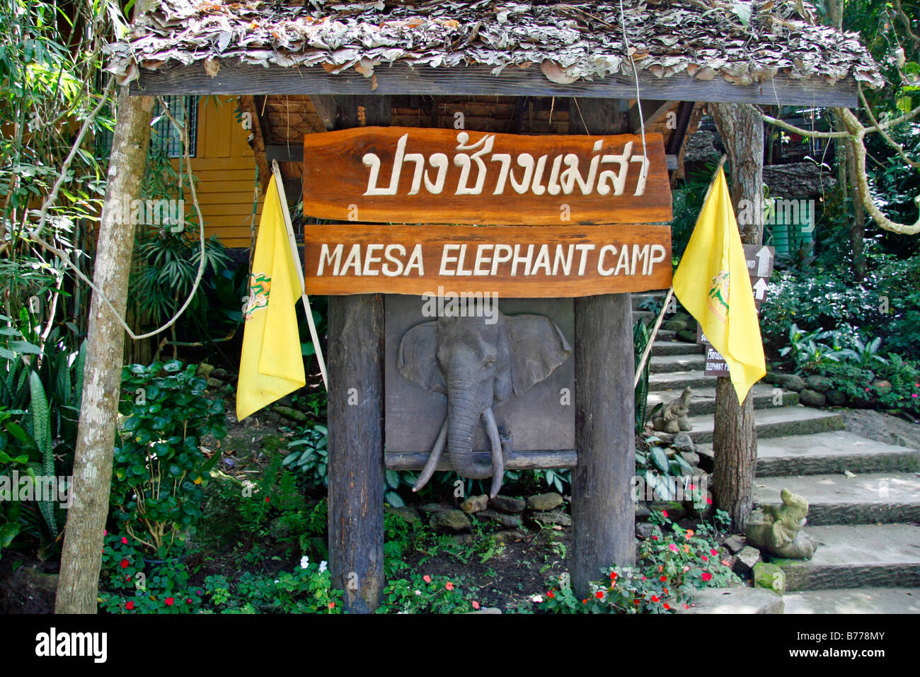 Segno, elephant farm, della Valle di Mae Sa, giungla, vicino a Chiang Mai, Thailandia, Asia Foto Stock