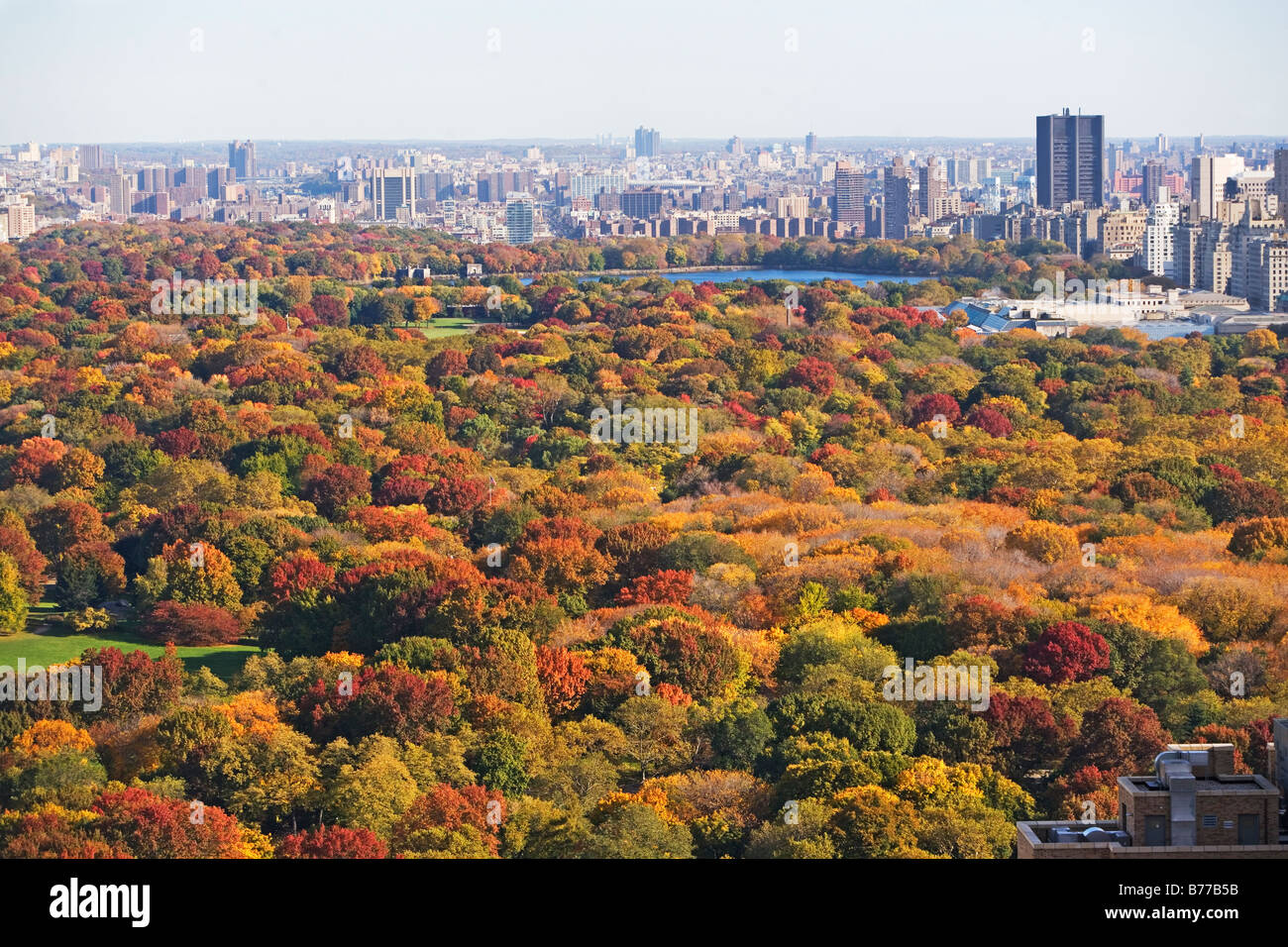 Fogliame autunnale, al Central Park di New York City Foto Stock