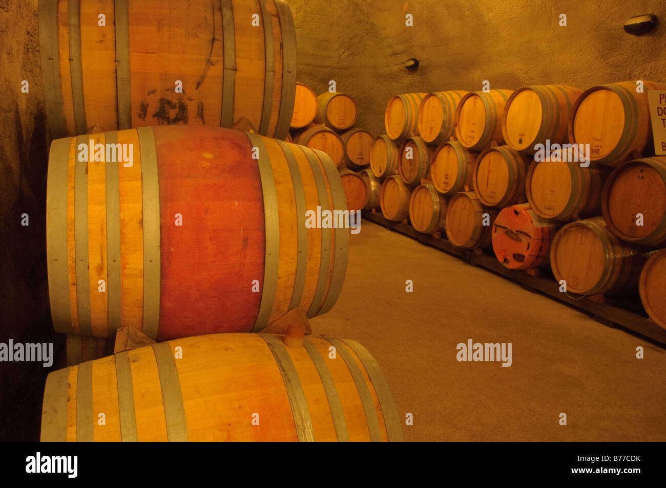 Barili di vino in una cantina. Foto Stock