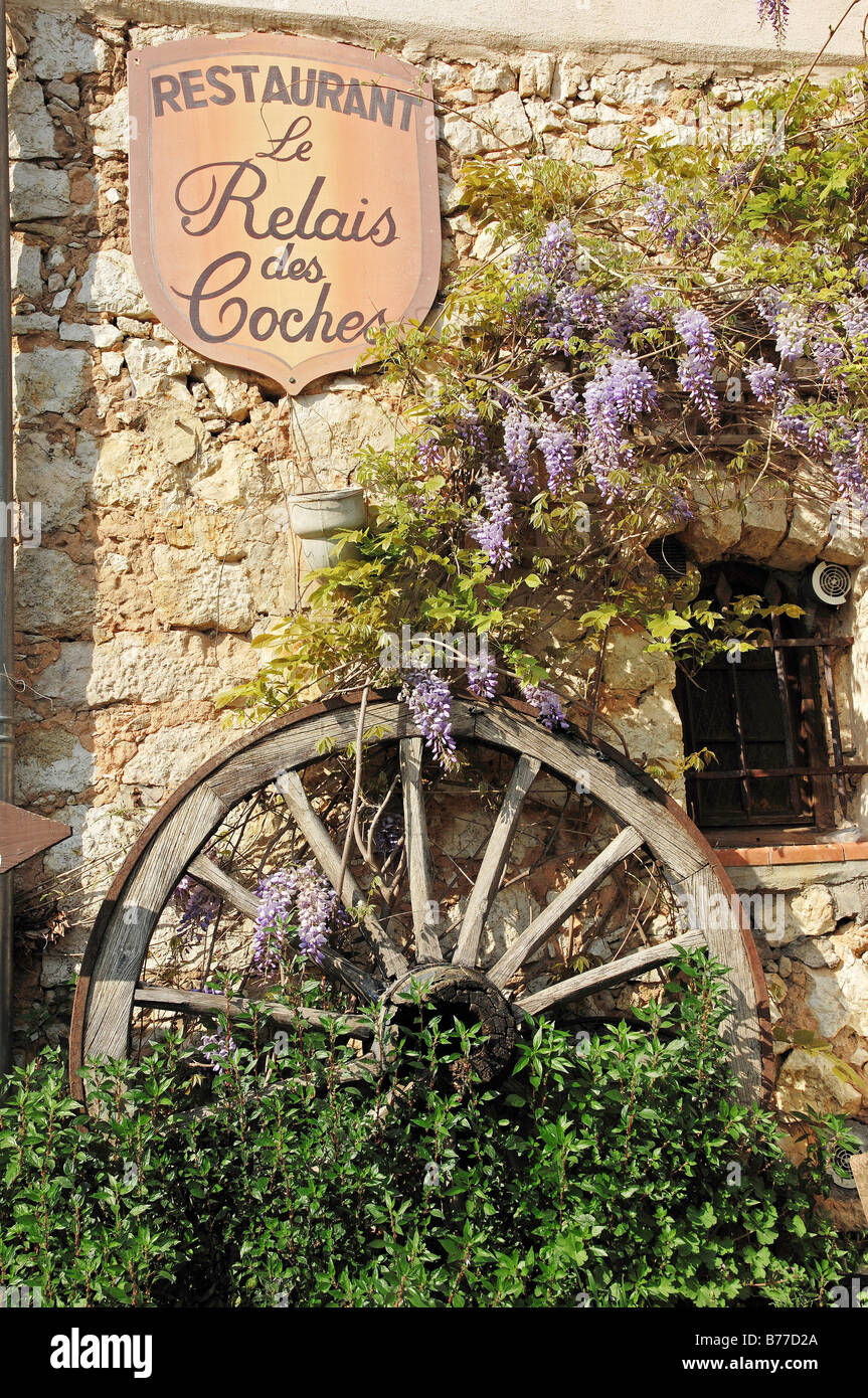 Segno del ristorante, carrello ruota e cinese (Glicine Wisteria sinensis, Wisteria chinensis), Tourrettes sur Loup, Alpes-Maritim Foto Stock