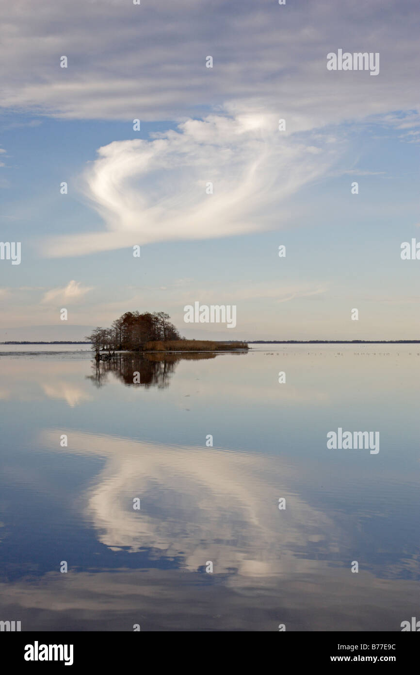 Piccola isola e di riflessione in un lago a Mattamuskeet Foto Stock