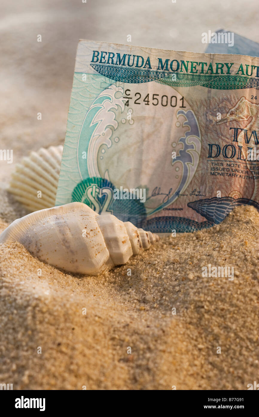 Close up di Bermuda valuta conchiglie di sabbia Foto Stock