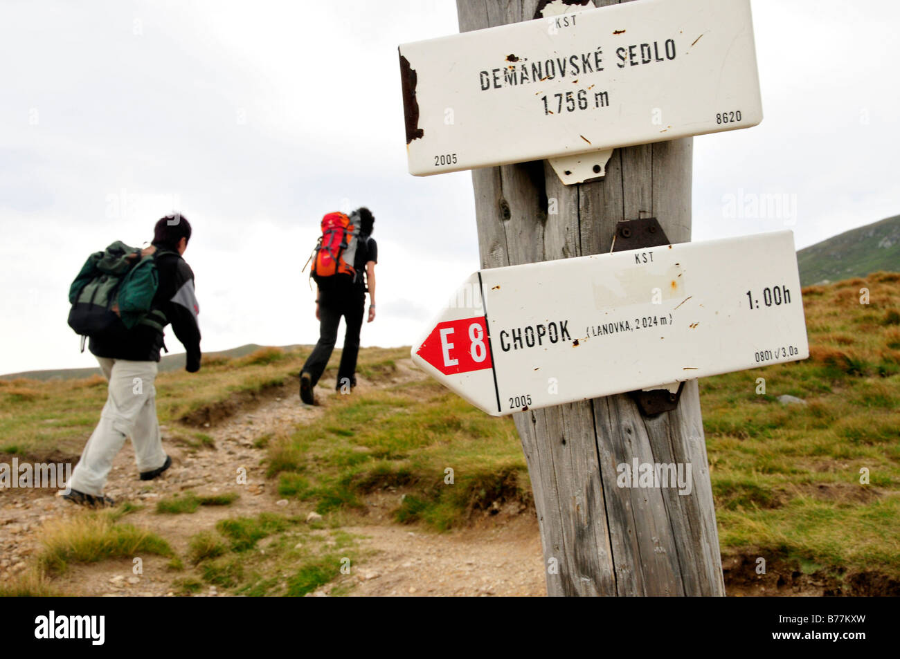 E di orientamento per gli escursionisti a piedi della montagna Dumbier, 2043m, Bassi Tatra, Nizke Tatry, Slovacchia, Europa Foto Stock