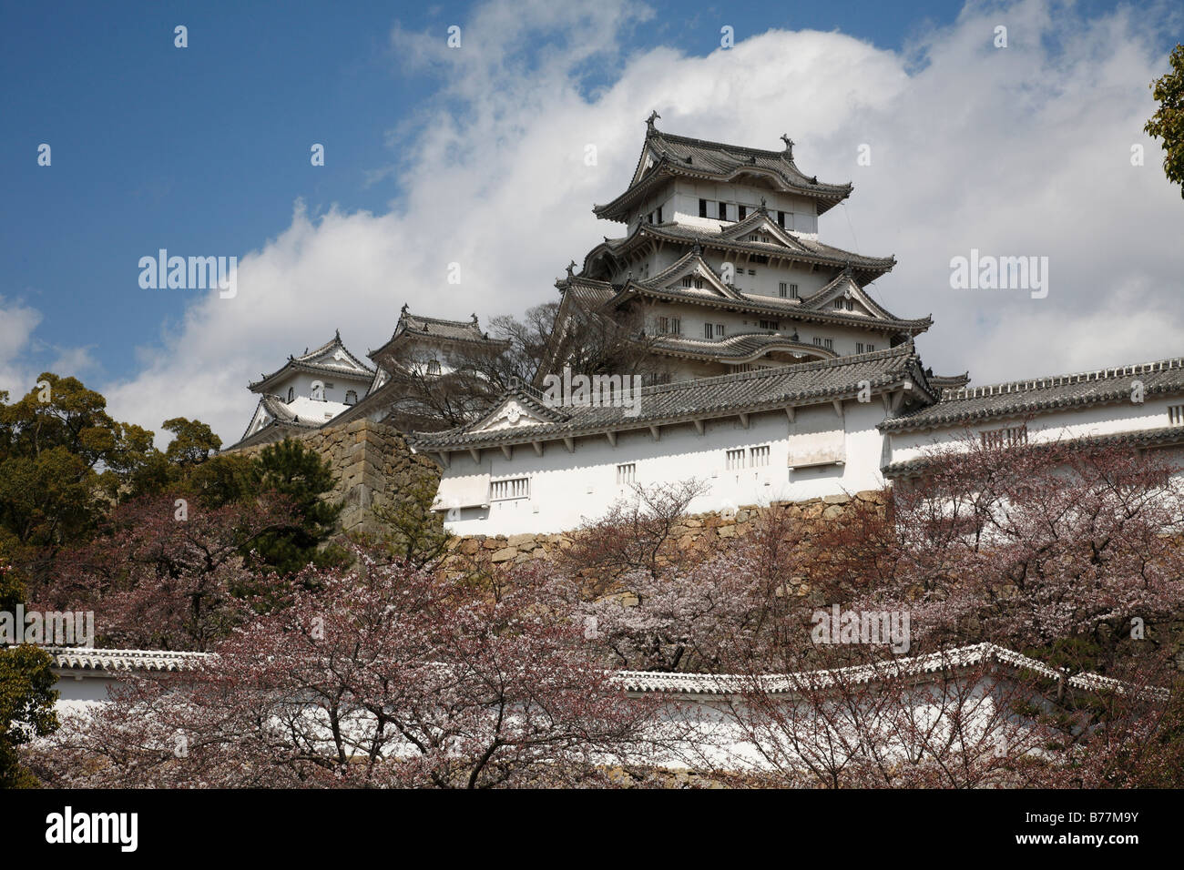 Giappone,Honshu,Hyogo,il Castello di Himeji Foto Stock